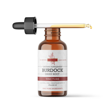 Burdock Root Liquid Extract   - 2 FL Oz