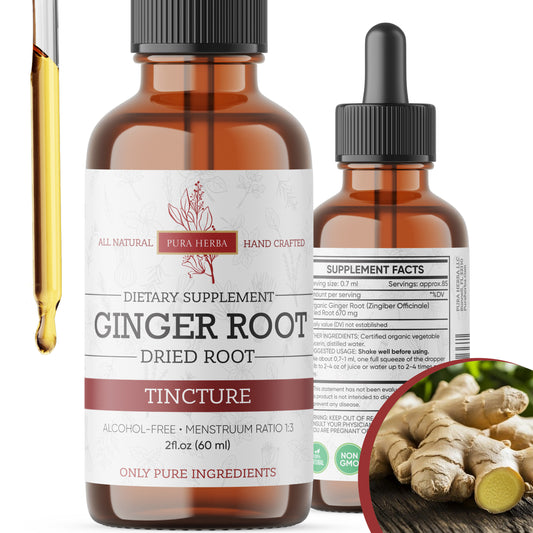 Ginger Root Liquid Drops  - 2 FL Oz