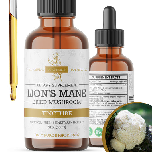 Lion’s Mane Mushroom Liquid Drops - 2 FL Oz